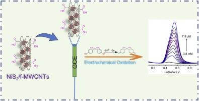 Nanocarbon sensors: Unlocking efficient detection of water pollutants through electrocatalysis