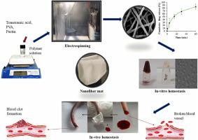 PVA/pectin based electrospun nanofibers loaded with tranexamic acid for hemostasis: Preparation, in-vitro characterization, and in-vivo evaluation