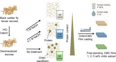 Structure-property relationships in minimally processed insect chitin/carboxymethyl cellulose films