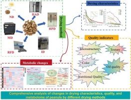 Comprehensive analysis of changes in the drying characteristics, quality, and metabolome of peanuts by different drying methods