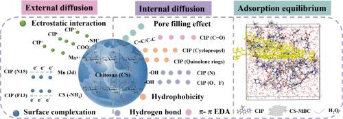 Enhanced ciprofloxacin removal from water by chitosan/Mn-modified biochar: Synergistic adsorption at multi-site active centers