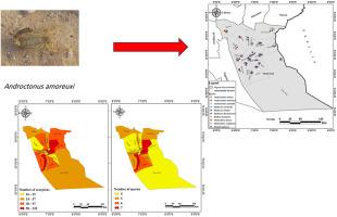 Unveiling scorpionism in Northern Algerian Sahara (El Oued Province): Epidemiological trends and faunistic diversity