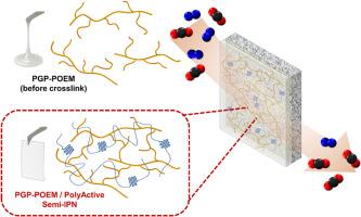 Polymer-blend thin-film composite membranes with semi-IPN architecture for enhanced CO2 separation and mechanical robustness