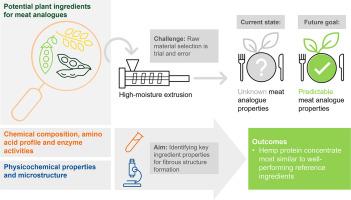 Characterising the composition and physicochemical properties of legume and oilseed protein concentrates to evaluate their potential for high-moisture extrusion processing
