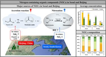 Concentrations and formation pathways of nitrogen-containing organic compounds in PM2.5 from Seoul and Beijing