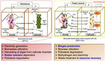 Advancements in bioelectrochemical systems: Electrogens and methanogens behaviour, stress adaptation, and artificial intelligence-driven approaches for sustainable bioenergy
