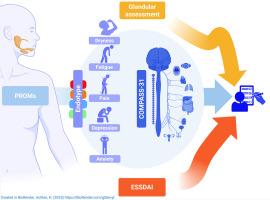 Autonomic dysfunction symptoms in Sjögren’s Disease: A missed dimension linked to disease burden and work disability