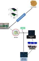 Repurposing mandarin peels for catalytically robust laccase production using Achromobacter denitrificans ISO16