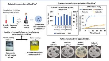 A comparison of charged and uncharged stabilizers on the loading of hydrophilic low and high molecular weight synthetic charged molecules in the LeciPlex® system