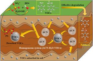Enhanced in-situ remediation of VOCs-contaminated soil using alkaline activated persulfate with co-solvent assistance for improved removal efficiency