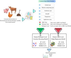 Literature-based explainable machine learning models for predicting pathogen and antibiotic resistance gene loads from animal manure