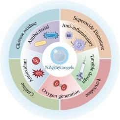 Multifunctional nanozyme-embedded hydrogels for advanced diabetic wound management