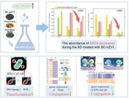 Enhanced mitigation of antibiotic resistance genes in anaerobic digestion of food waste using biochar-supported nanoscale zero-valent iron
