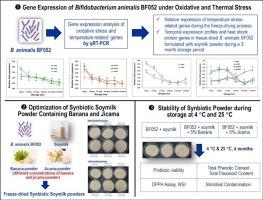 Transcriptional analysis of oxidative-tolerant and temperature-sensitive genes of Bifidobacterium animalis BF052 during freeze-drying process and development of its soymilk-synbiotic product containing banana and jicama powders