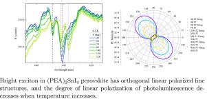 Temperature-dependent polarization evolution of photoluminescence in Ruddlesden–Popper perovskite (PEA)2SnI4