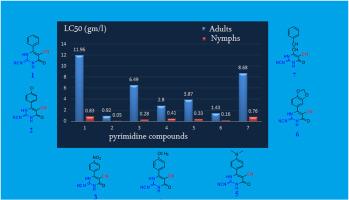 Functionalized pyrimidines: Synthesis, characterization, structure-activity relationship and insecticidal evaluation of some new neonicotinoid analogues against cotton aphid