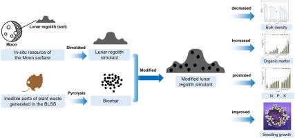 Biochar derived from plant waste improves seedling growth by influencing the physical structure and nutrient content of simulated lunar soil