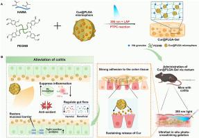 Ultrafast in situ formed robust and adhesive photo-crosslinked hydrogel encapsulating curcumin for ulcerative colitis alleviation via regulating inflammation and gut microbiota