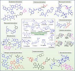 Natural-product-inspired potent anticancer congeners: chronological advancements, structure-activity relationship (SAR) studies and future perspectives
