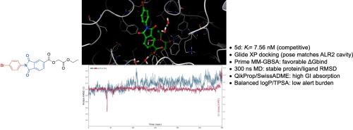 Phthalimide–benzoic acid hybrids as potent aldose reductase inhibitors: Synthesis, enzymatic kinetics, and in silico characterization