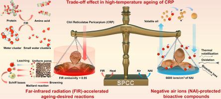Far-infrared radiation and negative air ions to resolve trade-off effect of accelerating reactions and stabilizing bioactivity in high-temperature ageing of Citri Reticulatae Pericarpium