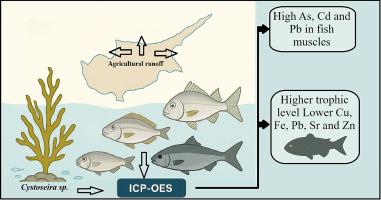 Assessment of heavy metal contamination in Cystoseira sp. and ecologically distinct fish species from Northern Cyprus