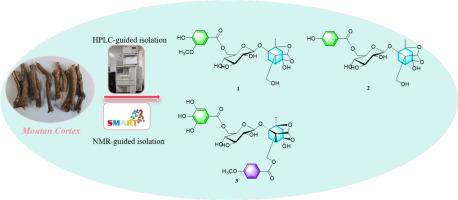 HPLC-guided isolation and characterization of monoterpene glycosides from the dried roots bark of Paeonia × suffruticosa Andr