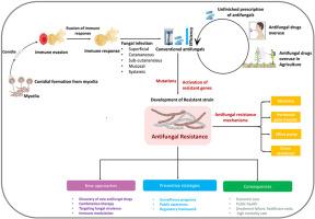 The hidden threat: Unveiling the rise of antifungal drug resistance