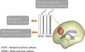 Evaluation of drug distributions in brain tumor therapy: An in silico comparative study of multi-side-hole and standard end-hole catheters in convection-enhanced delivery
