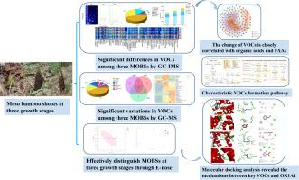 Characterization and decoding of volatile organic compounds in Moso bamboo shoots (Phyllostachys edulis L.) at different growth stages: A combined analysis by HS-GC-IMS, HS-SPME-GC‐MS, E-nose, and molecular docking