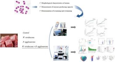 Investigation of the spoilage effects of interactions between dominant spoilage bacteria W. viridescens and P. agglomerans on marinated beef