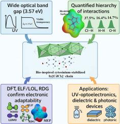 Bio-inspired one-dimensional cadmium halide stabilized by cytosinium: Structural, spectroscopic and theoretical investigations