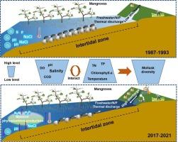 Interactions of multiple abiotic stresses exacerbate mollusk diversity loss in a high-discharge coastal mangrove wetland