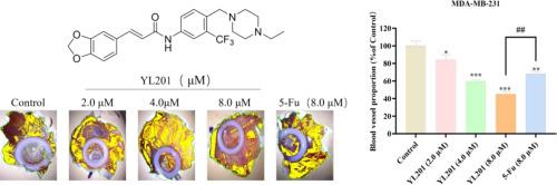 Design, synthesis and evaluation of novel 1,3-benzodioxole derivatives for their anti-tumor activity