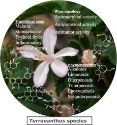 Chemical and pharmacological richness of Turraeanthus (Meliaceae): A review on progress and future research opportunities