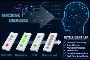 Machine learning-integrated lateral flow assays: Unlocking the future of intelligent point-of-care sensing