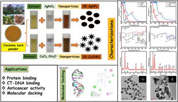 Selectively activated plasma protein, DNA and cancer-cells by CB-Cu/Ag NPs