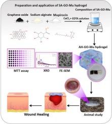 A new efficient skin dressing based on sodium alginate − graphene oxide bionanocomposite hydrogel to expedite wound healing process