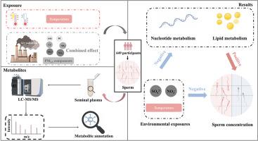 Associations between PM2.5 components, temperature, and semen quality: Insights from seminal plasma metabolome