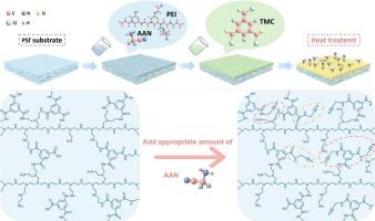 Fabrication of enhanced Mg2+/Li+-selective membranes via aminoacetonitrile-modulated PEI/TMC interfacial polymerization