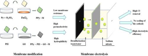 Enhanced anion exchange membranes for efficient chlorine removal via polypyrrole, polyethyleneimine, and graphene oxide Co-deposition