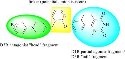 Discovery of a selective α2C-AR scaffold from a molecular hybridization approach