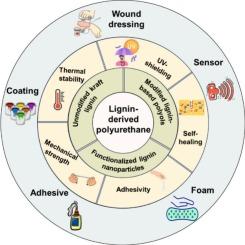 Integrating advanced engineering strategies and multifunctional applications of sustainable lignin-based polyurethanes: A comprehensive review