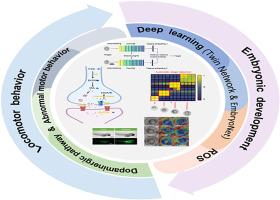 Paternal periconceptional exposure to reserpine and antidepressants causes developmental abnormalities and ADHD-like behavior in offspring: A deep learning analysis