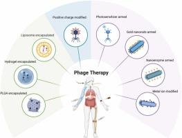 Biomaterial-driven innovations in phage therapy: Current strategies and future perspectives