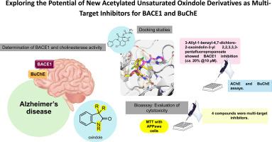 Exploring the potential of new acetylated unsaturated Oxindole derivatives as multi-target inhibitors for BACE1 and BuChE