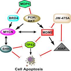 Lipid nanomedicine simultaneously inhibits BRD4/PI3K and MDM2/XIAP signaling pathways for effective treatment of Medulloblastoma