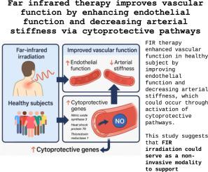 Far infrared therapy improves vascular function by enhancing endothelial function and decreasing arterial stiffness via cytoprotective pathways