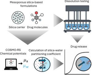 Approaching drug release performance from mesoporous silica formulations by modeling of chemical potentials