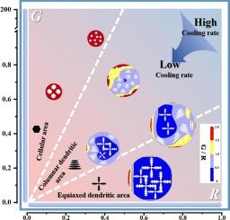 Particle size-dependent solidification heterogeneity: Simulation and experimental decoupling of gas-atomized Ni-based superalloy powders